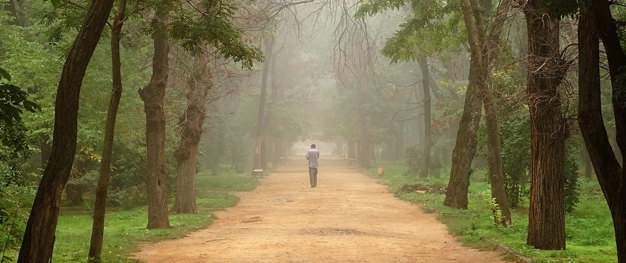Spätstadium Demenz - Ein Mann geht auf einem alten Weg durch einen Wald